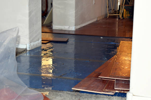 Professional Basement Flood Cleanup technician working in Inman, KS